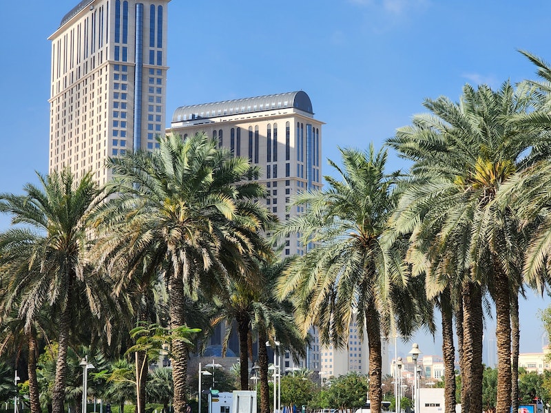 Exterior of a luxurious Hyatt Hotel property showcasing stunning architecture and beautiful landscaping.